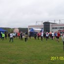 wstane 31